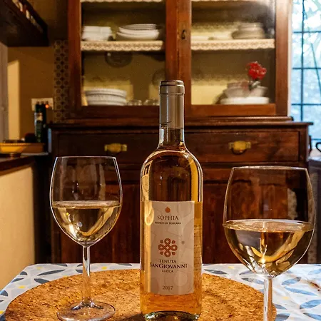 Villa Tenuta San Giovanni - Borgo Ai Rovai Lucca